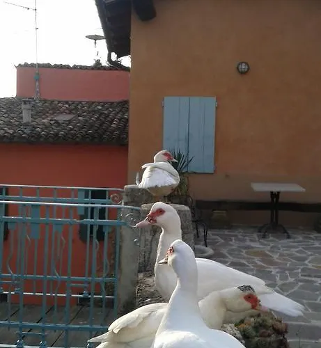 Il Gelso * Traversetolo