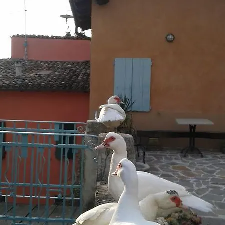 Il Gelso * Traversetolo