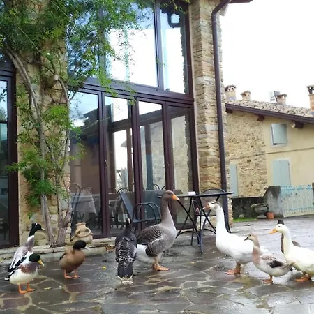 בית חווה Il Gelso Traversetolo