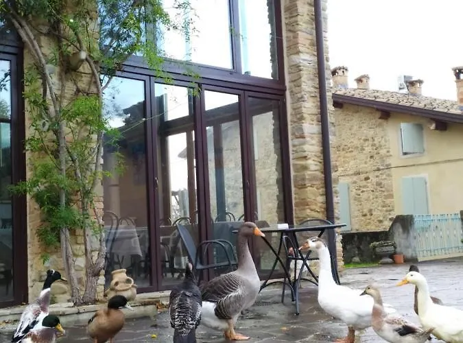 Κατάλυμα σε φάρμα Il Gelso Traversetolo